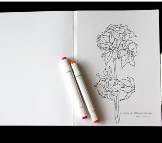Libro para Colorear Desierto en flor