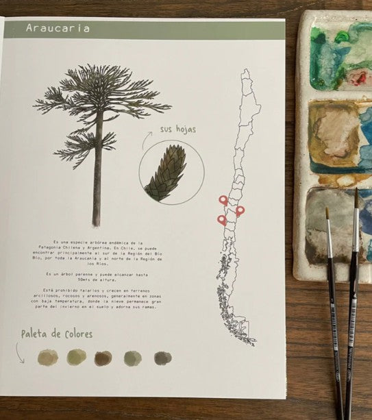 Libro para colorear Fauna y flora